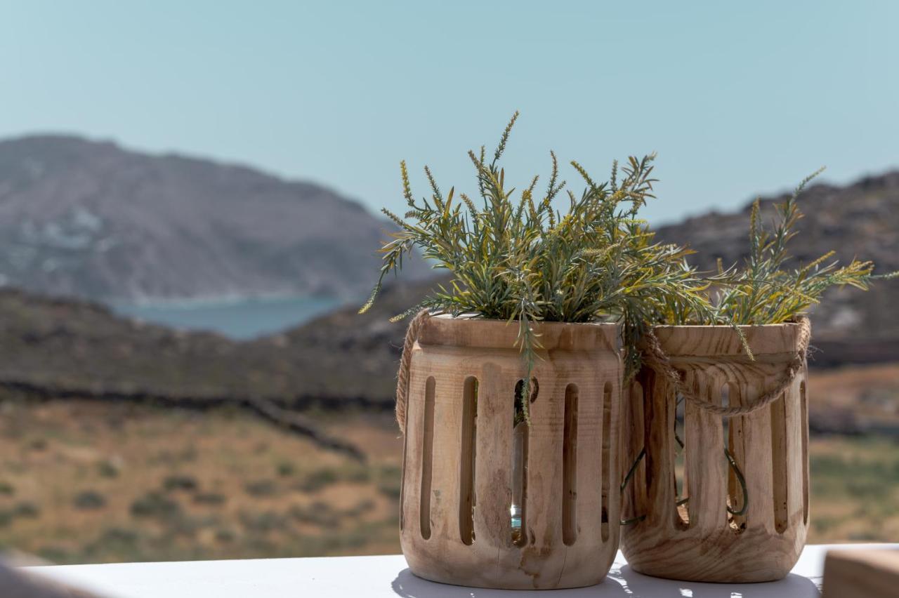 Anemela Villas & Suites Mykonos アグラリ エクステリア 写真