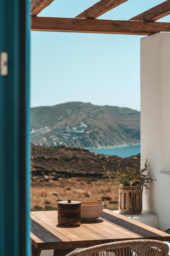 Anemela Villas & Suites Mykonos アグラリ エクステリア 写真