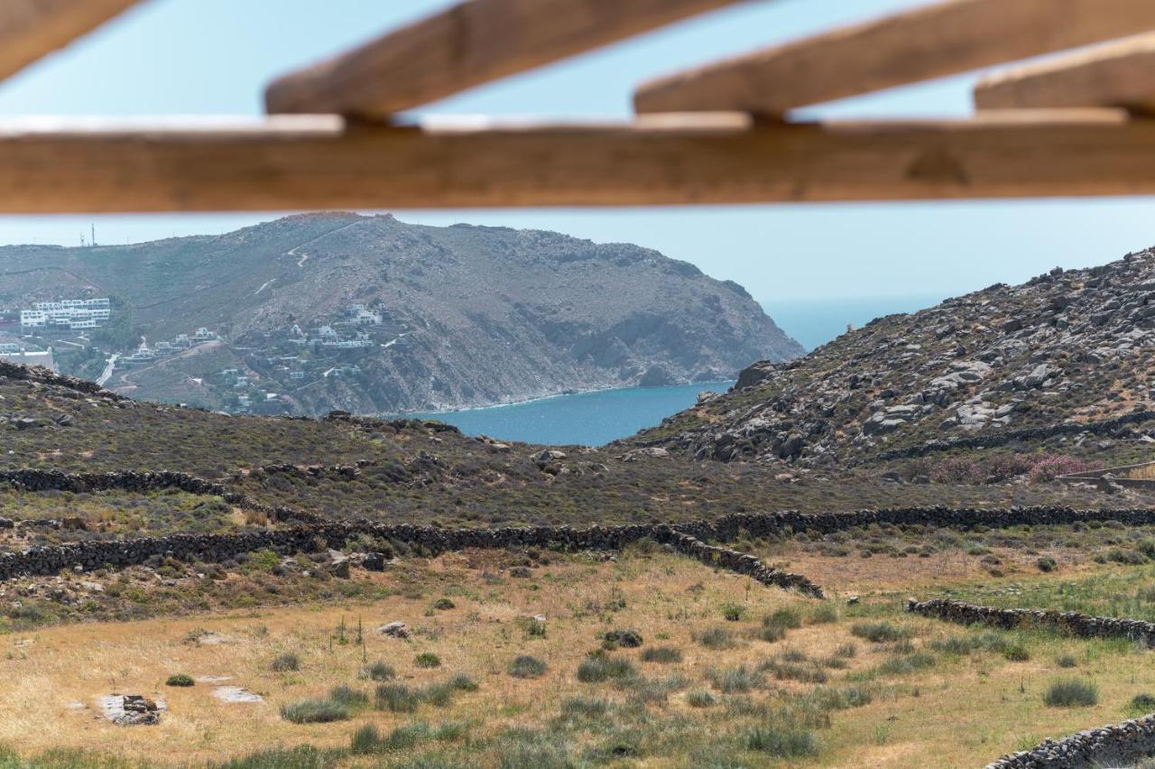 Anemela Villas & Suites Mykonos アグラリ エクステリア 写真