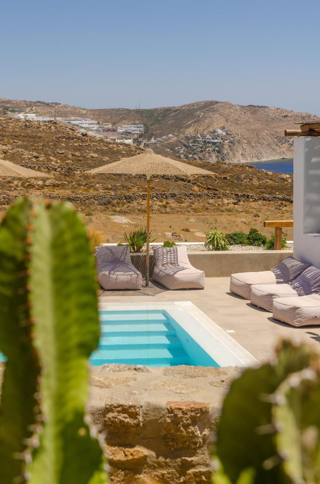 Anemela Villas & Suites Mykonos アグラリ エクステリア 写真